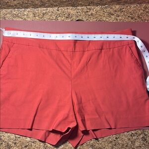 New York & Company Pink High Waist Shorts
